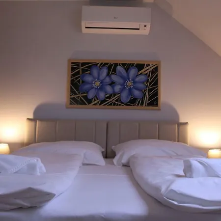 Soerpatika Vendeghaz Πανσιόν 3*